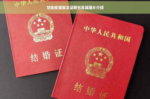 甘肃疫苗英文证明书及其图片介绍