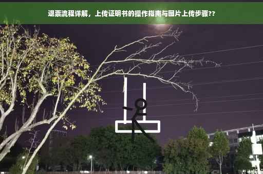 退票流程详解，上传证明书的操作指南与图片上传步骤??