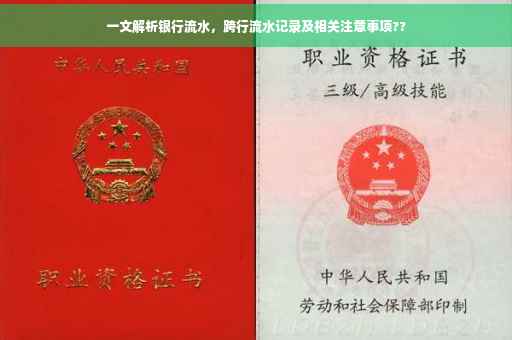 一文解析银行流水，跨行流水记录及相关注意事项??