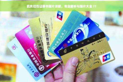 肌肉拉伤证明书图片详解，专业解析与图片大全 ??