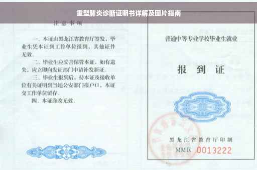重型肺炎诊断证明书详解及图片指南