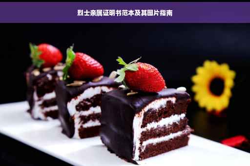 烈士亲属证明书范本及其图片指南