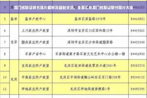澳门核酸证明书图片解析及最新资讯，全面汇总澳门核酸证明书图片大全