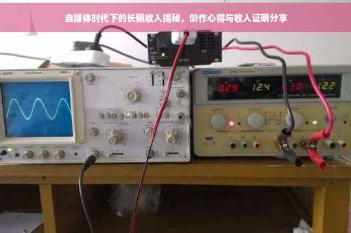 自媒体时代下的长佩收入揭秘，创作心得与收入证明分享