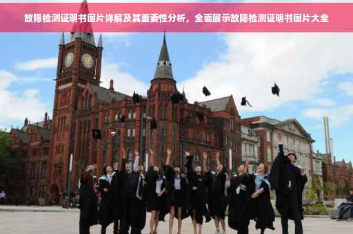 故障检测证明书图片详解及其重要性分析，全面展示故障检测证明书图片大全