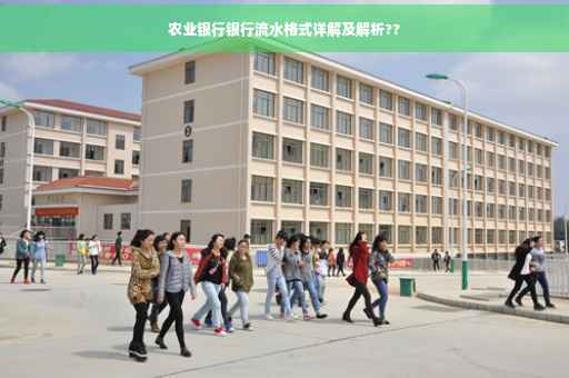 农业银行银行流水格式详解及解析??