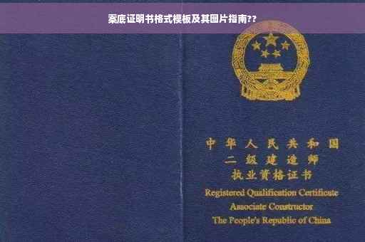 案底证明书格式模板及其图片指南??