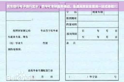 民生银行电子银行流水，数字化金融服务体验，便捷高效安全查询一站式体验?✨