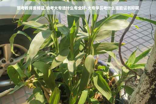 想考教师资格证,自考大专选什么专业好-大专学历考什么技能证书好呢