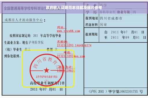 政府收入证明范本详解及图片参考