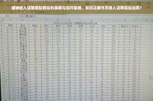 揭秘收入证明超标背后的真相与应对策略，如何正确书写收入证明超标说明？