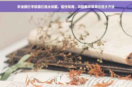 农业银行手机银行流水详解，操作指南、功能解析及导出流水方法