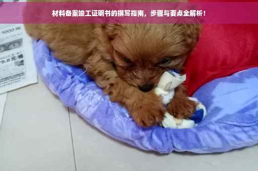 材料备案竣工证明书的撰写指南，步骤与要点全解析！