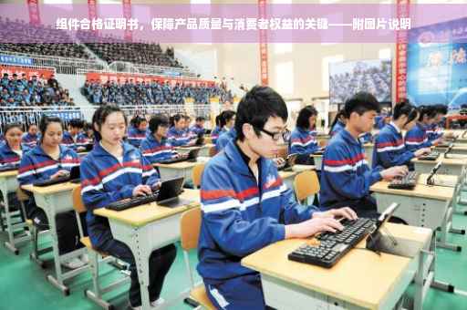 组件合格证明书，保障产品质量与消费者权益的关键——附图片说明