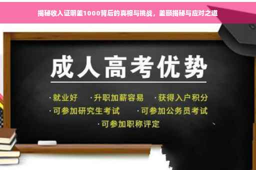 揭秘收入证明差1000背后的真相与挑战，差额揭秘与应对之道