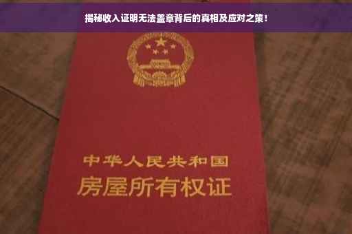 揭秘收入证明无法盖章背后的真相及应对之策！