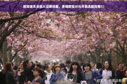 新加坡无业收入证明详解，多维度探讨与开具流程指南?⚡