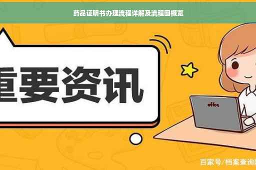 药品证明书办理流程详解及流程图概览
