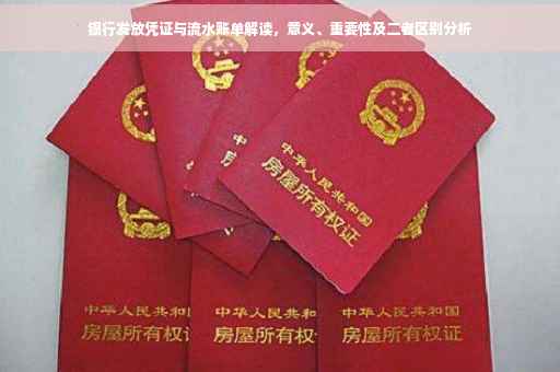 银行发放凭证与流水账单解读，意义、重要性及二者区别分析