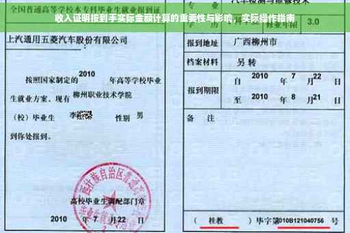 收入证明按到手实际金额计算的重要性与影响，实际操作指南