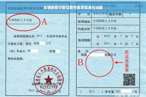 车祸病情诊断证明书撰写指南与详解