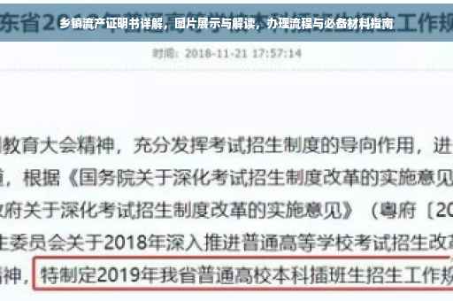 乡镇流产证明书详解，图片展示与解读，办理流程与必备材料指南