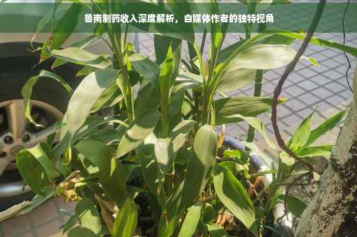鲁南制药收入深度解析，自媒体作者的独特视角