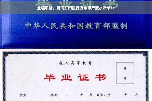 全程解析，如何打印银行流水账户流水账单??