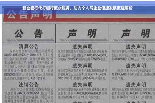 新业银行代打银行流水服务，助力个人与企业便捷发展流程解析