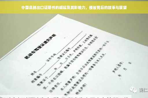 中国品牌出口证明书的崛起及其影响力，模板背后的故事与展望
