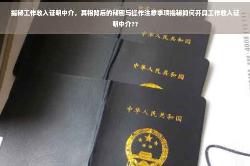 揭秘工作收入证明中介，真相背后的秘密与操作注意事项揭秘如何开具工作收入证明中介??