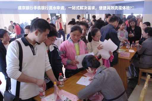 盛京银行手机银行流水申请，一站式解决需求，便捷高效流程体验?✨