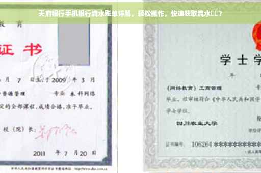 天府银行手机银行流水账单详解，轻松操作，快速获取流水⚡️?