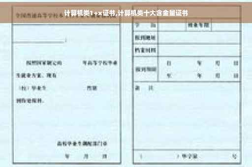 计算机类1+x证书,计算机类十大含金量证书