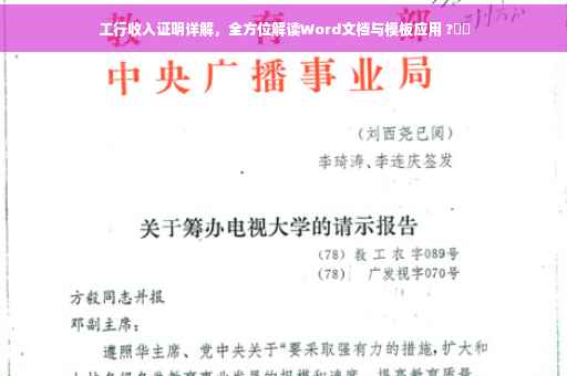 工行收入证明详解，全方位解读Word文档与模板应用 ?⚡️