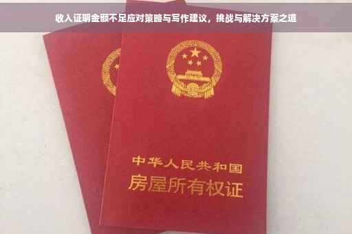 收入证明金额不足应对策略与写作建议，挑战与解决方案之道