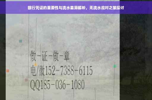 银行凭证的重要性与流水差异解析，无流水应对之策探讨