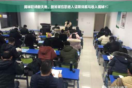 揭秘职场新天地，新加坡在职收入证明详解与收入揭秘?✨