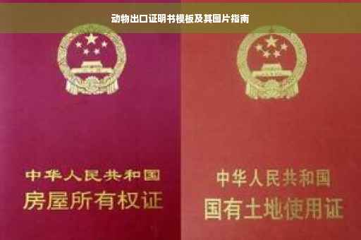 动物出口证明书模板及其图片指南