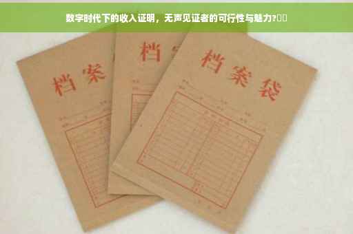 数字时代下的收入证明，无声见证者的可行性与魅力?⚡️
