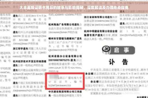 大丰离婚证明书背后的故事与影响揭秘，深度解读及办理地点指南