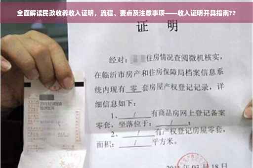 全面解读民政收养收入证明，流程、要点及注意事项——收入证明开具指南??