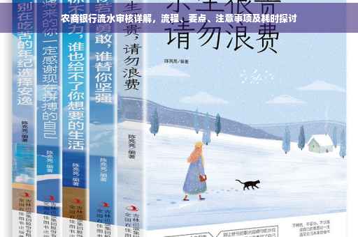 农商银行流水审核详解，流程、要点、注意事项及耗时探讨