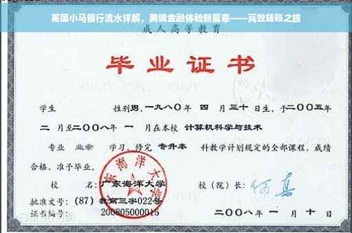 英国小马银行流水详解，跨境金融体验新篇章——高效转账之旅
