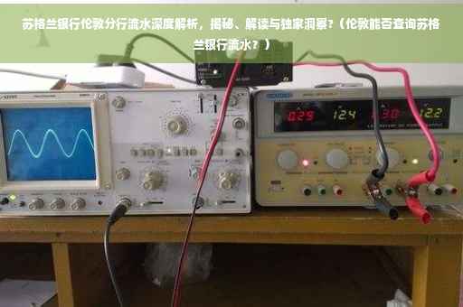 苏格兰银行伦敦分行流水深度解析，揭秘、解读与独家洞察?（伦敦能否查询苏格兰银行流水？）