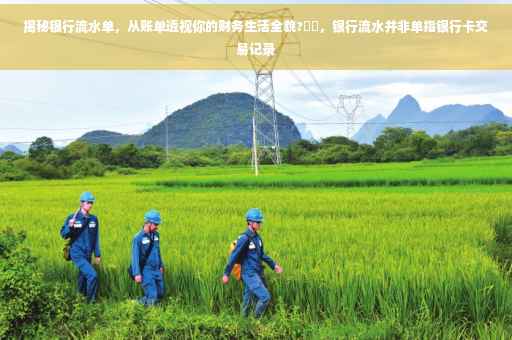揭秘银行流水单，从账单透视你的财务生活全貌?⚡️，银行流水并非单指银行卡交易记录