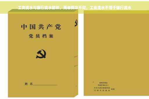工资流水与银行流水解析，两者概念不同，工资流水不等于银行流水