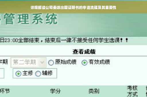 详细解读公司委派出国证明书的申请流程及其重要性