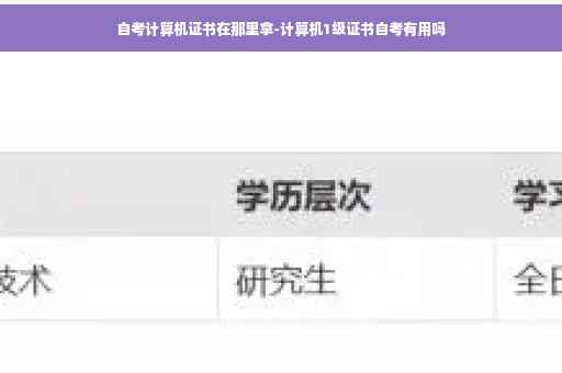 自考计算机证书在那里拿-计算机1级证书自考有用吗
