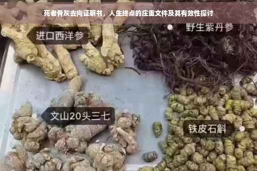 死者骨灰去向证明书，人生终点的庄重文件及其有效性探讨